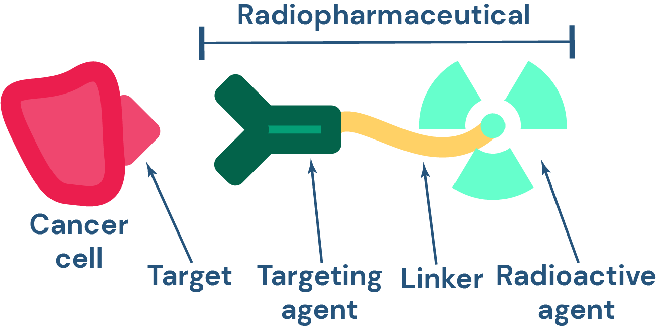A diagram of the components of RPTs, the targeting and radioactive agents which target a specific part of a cancer cell